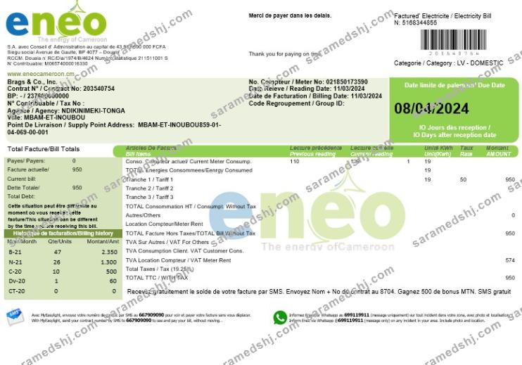 Cameroon ENEO electricity business utility bill template in Word
